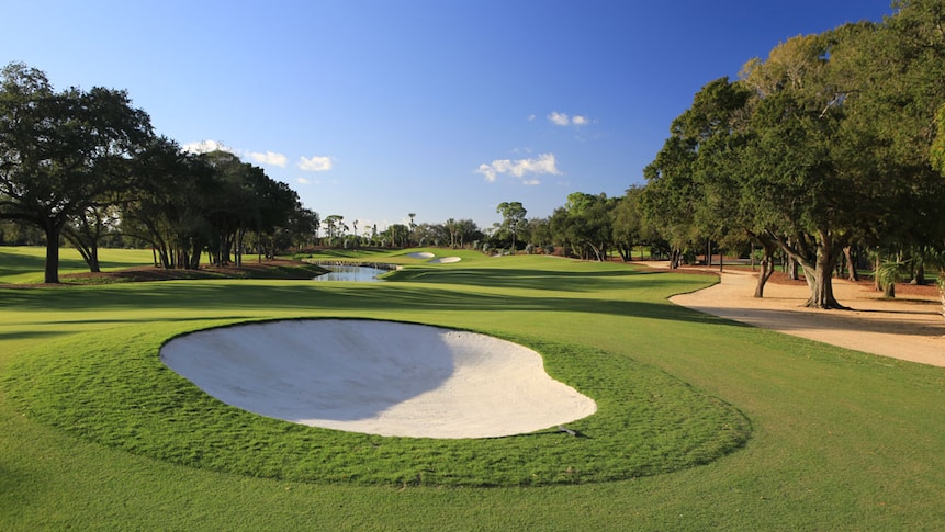 Adios Golf Club