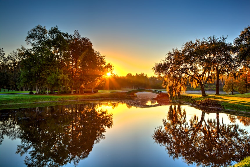 Innisbrook Resort: Island